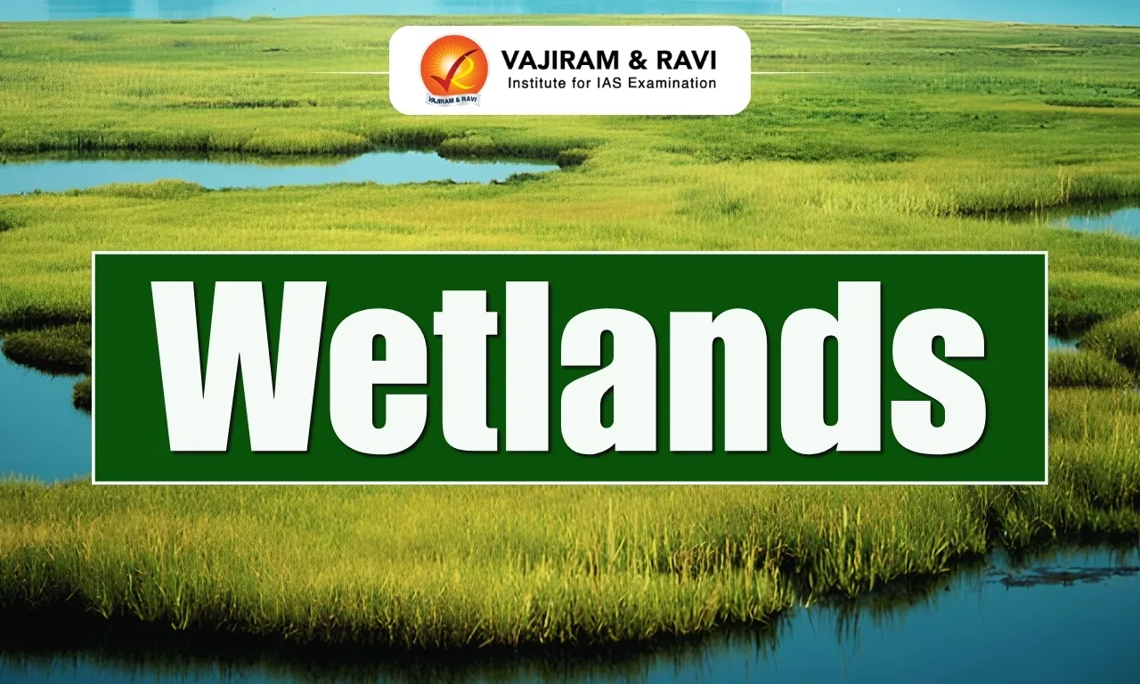 Wetlands