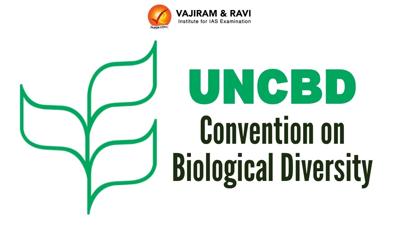 UNCBD