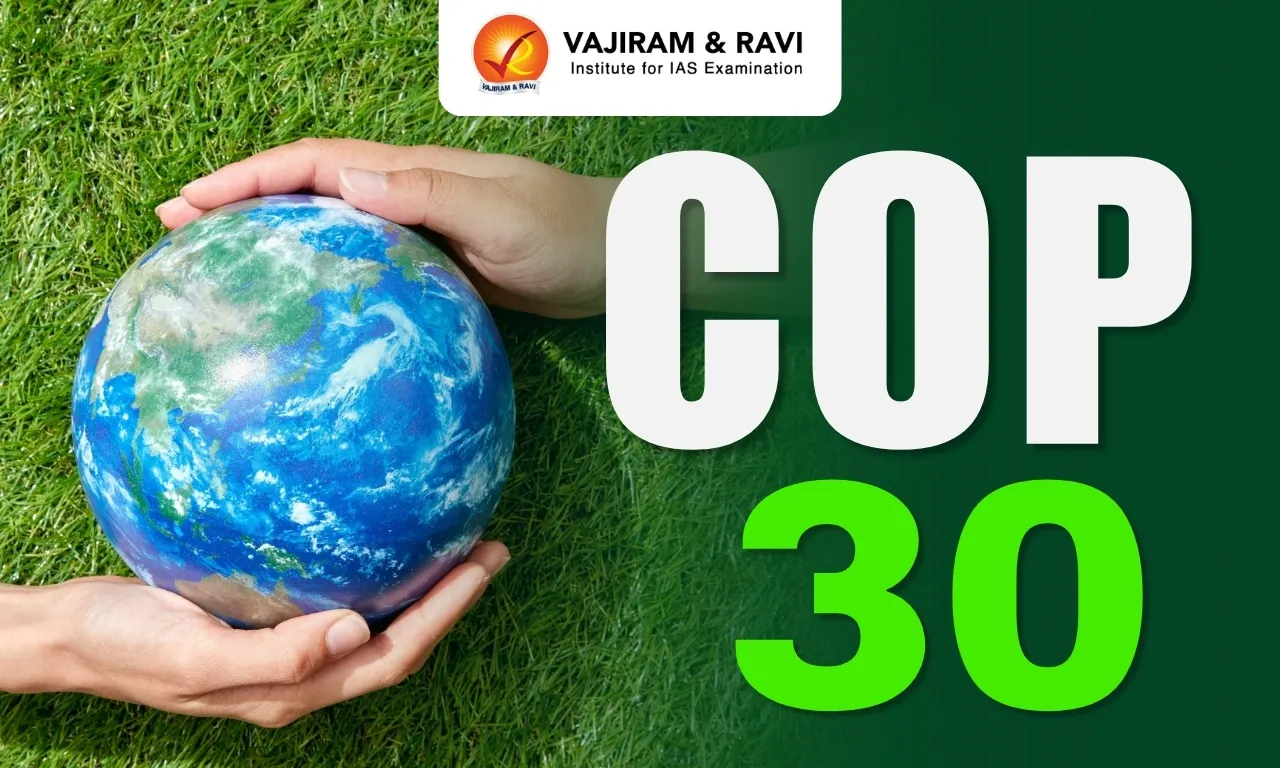 COP 30
