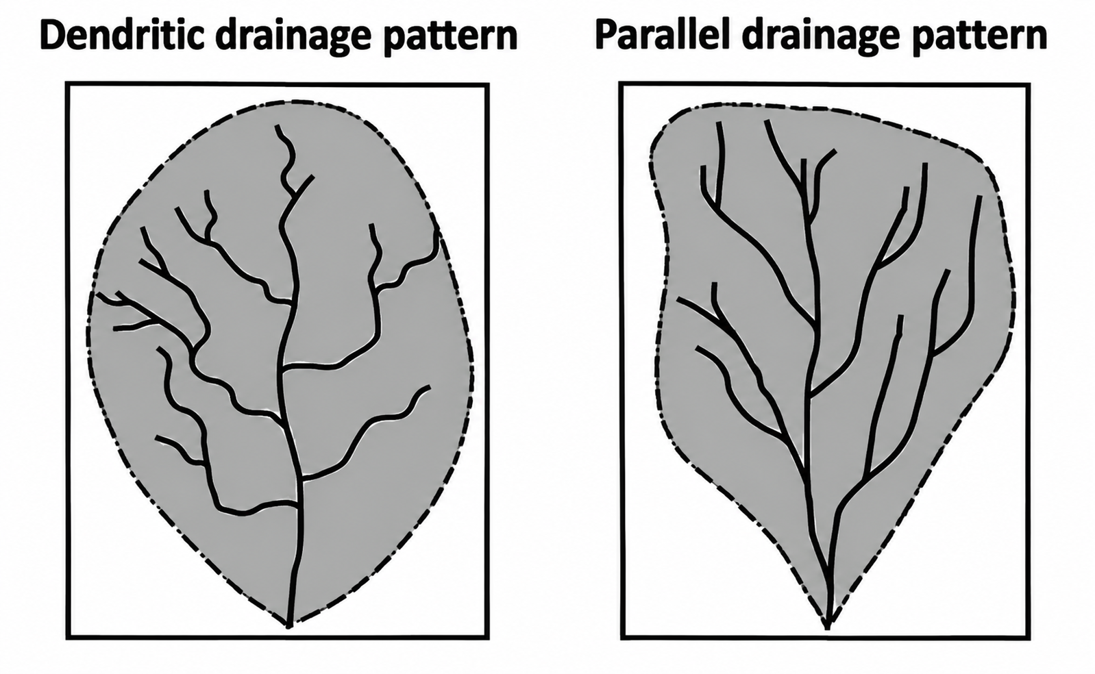 Drainage Pattern