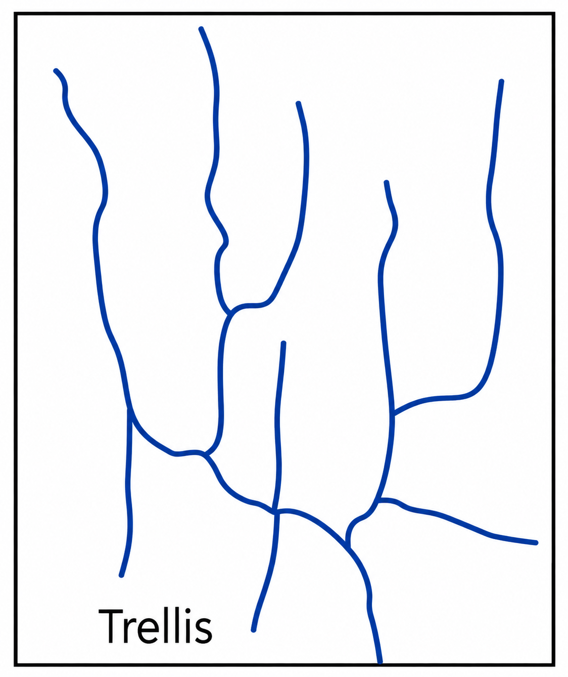 Drainage System of India