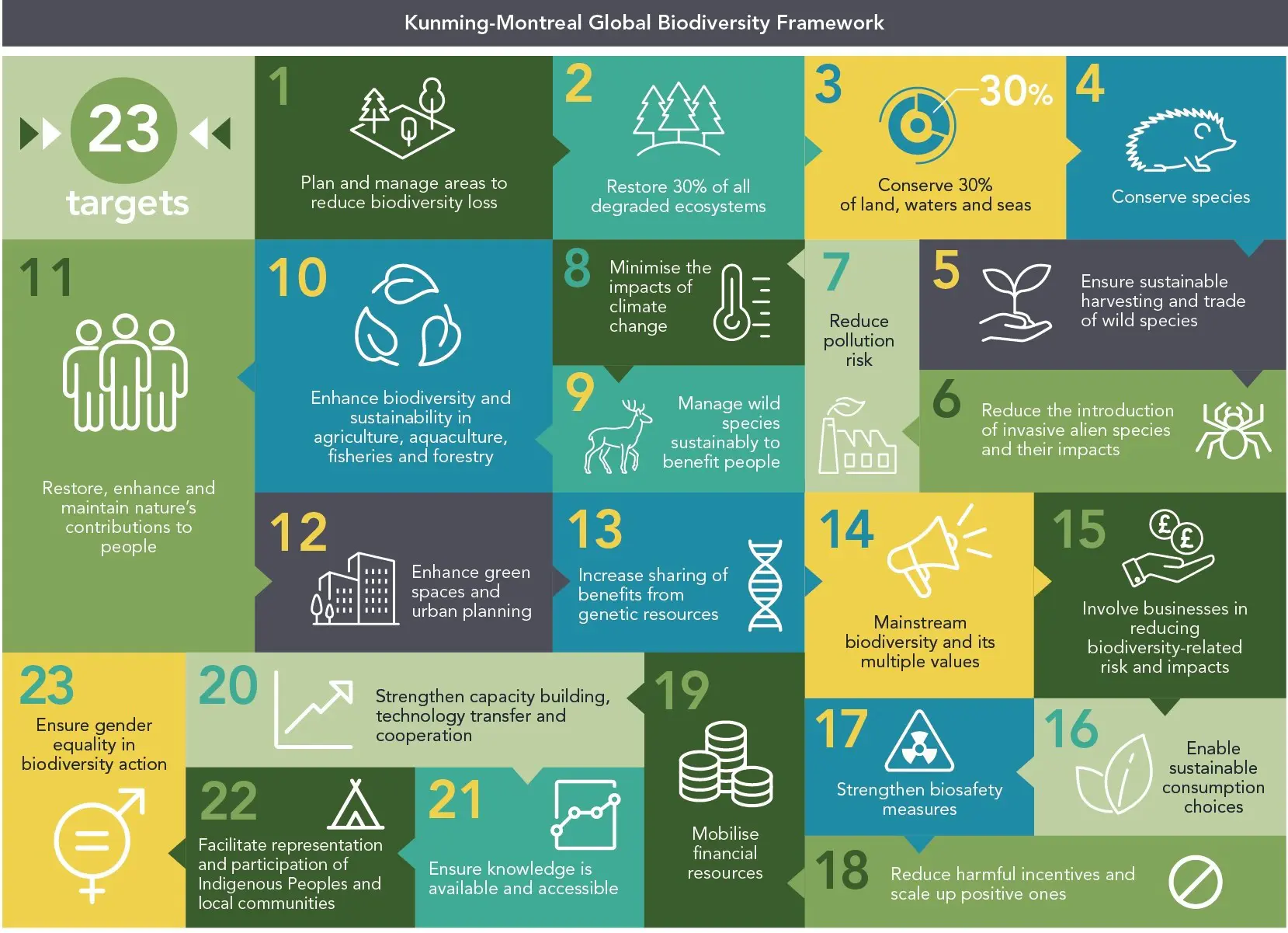 Kunming-Montreal Global Biodiversity Framework
