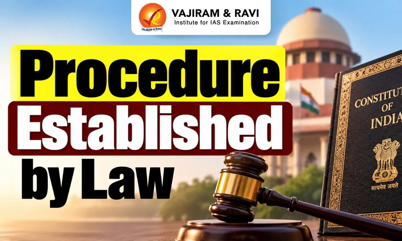 Procedure Established by Law
